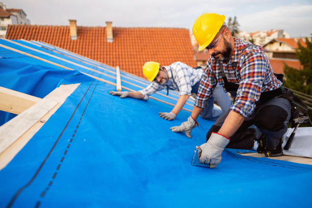 Best Flat Roof Repair Services  in Whitehall, WI